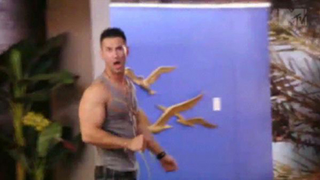 <i>Jersey Shore</i> Trailer: Sex, Violence, Vaginal Discomfort